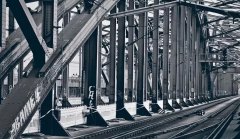 䓽Y�����ķN������^����